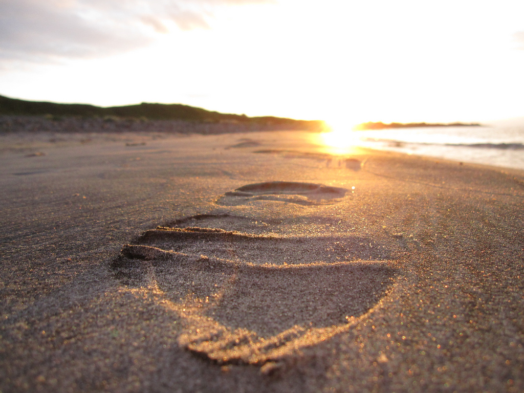 Losseny Le cri de la girafe